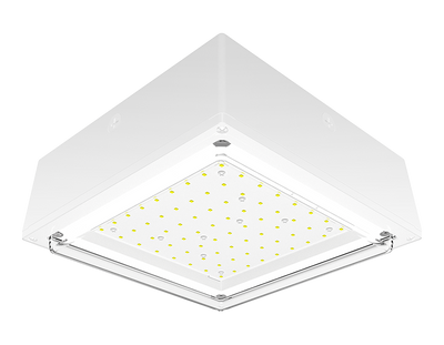 RAB Lighting 10 Watt LED Canopy Light, Drop Lens, 4000K, 1,962 Lumens, 120-277V, White, VANLED10NW