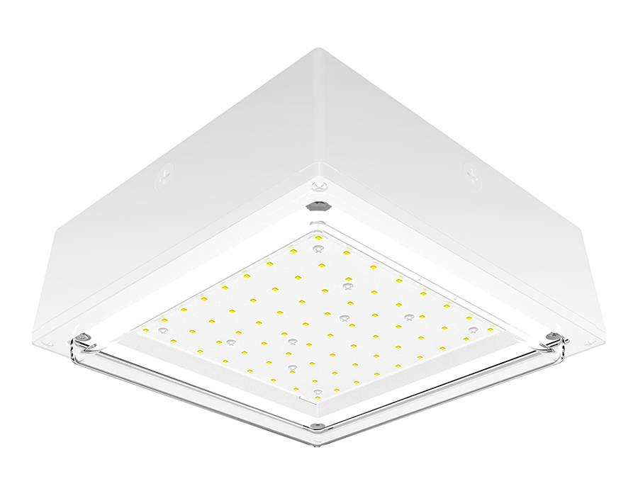 RAB Lighting 20 Watt LED Canopy Light, Drop Lens, 5000K, 2,989 Lumens, 120-277V, White, VANLED20W