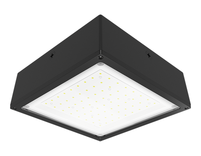 RAB Lighting 10 Watt LED Canopy Light, Flat Lens, 5000K, 2,009 Lumens, 120-277V, Bronze, VANLED10F