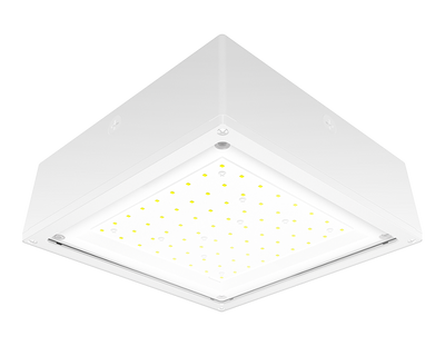 RAB Lighting 20 Watt LED Canopy Light, Flat Lens, 5000K, 3,184 Lumens, 120-277V, White, VANLED20FW