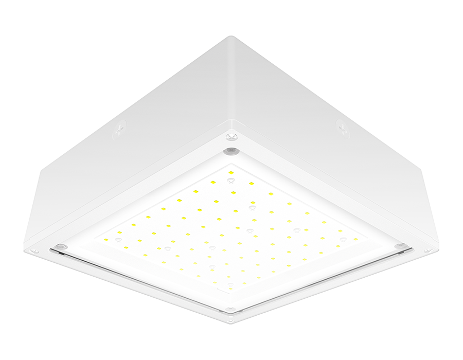 RAB Lighting 20 Watt LED Canopy Light, Flat Lens, 5000K, 3,184 Lumens, 120-277V, White, VANLED20FW