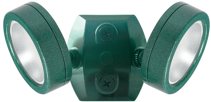 RAB Lighting Leslie Bullet Flood, 26W, 4000K, CRI80, 120V, Verde Green, LES2X13NVG