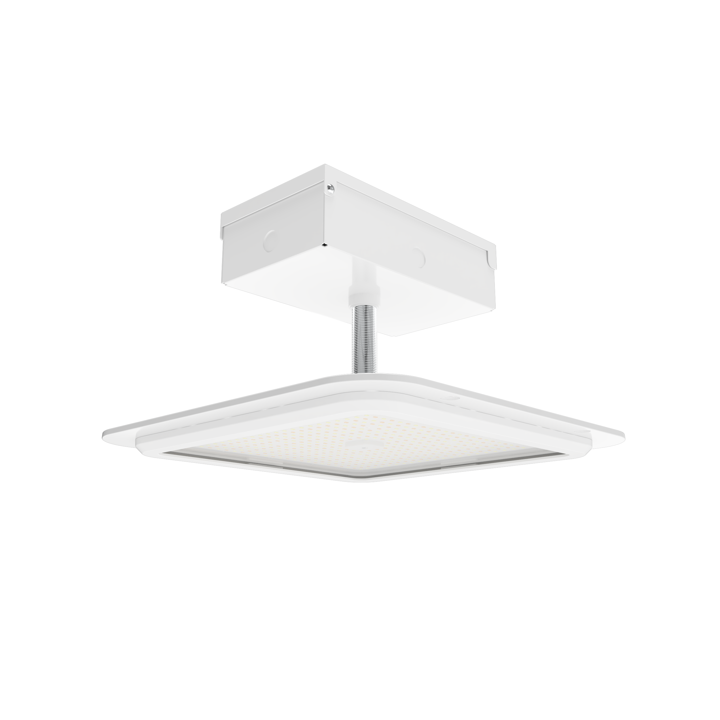 RAB Lighting MASI, 150/120/100W, CCT Selectable, 120-277V, 16 In., White, MASI16