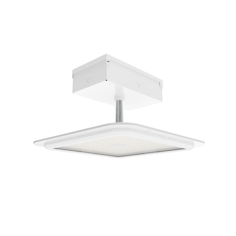 RAB Lighting MASI Canopy Light, 100/80/60W, CCT Selectable, 16 In., White, MASI16L