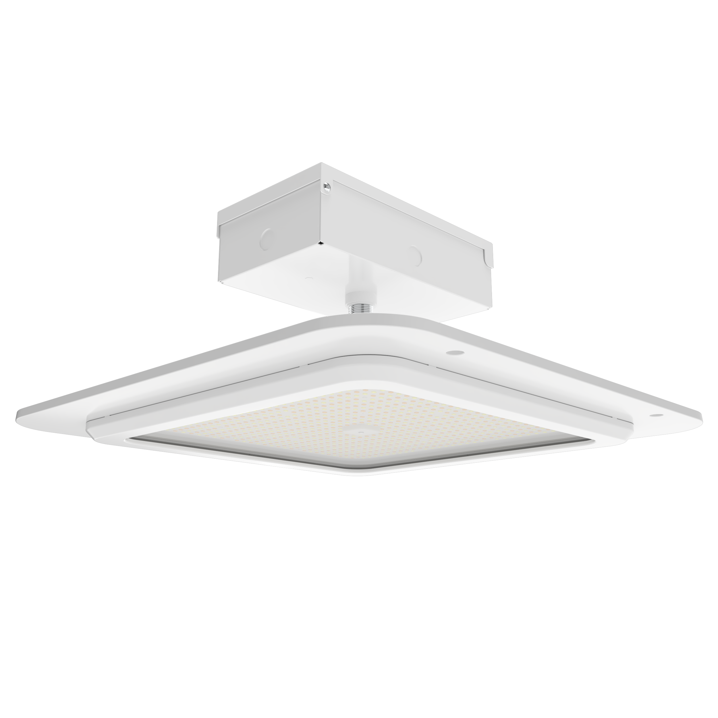 RAB Lighting MASI Canopy Light, 200/180/150W, CCT Selectable, 20 In., White, MASI20