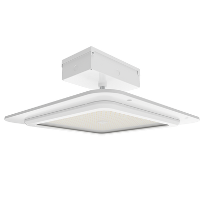RAB Lighting MASI Canopy Light, 200/180/150W, CCT Selectable, 20 In., White, MASI20