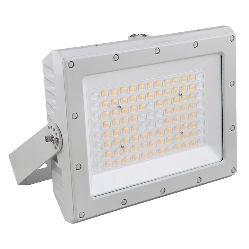 Westgate Mfg Hazardous Location Flood Light, 240W, 5000K, CRI 80, IP66, Gray, EXPF-240W-50K