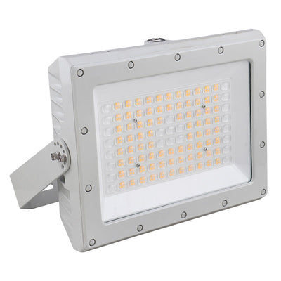 Westgate Mfg Hazardous Location Flood Light, 100W, 5000K, CRI 80, IP66, Gray, EXPF-100W-50K