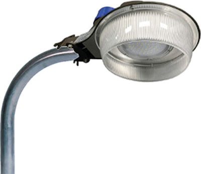 Westgate Mfg LR2 Area Light, 50W, 5000K, IP65, Photocell, Dark Bronze, LR2-50CW-P