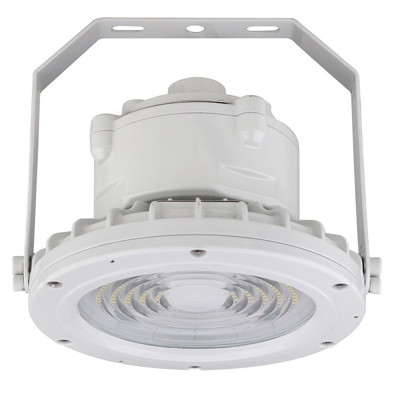 Westgate Mfg EXPR Explosion-Proof Round Flood, 60W, 5000K, IP66, Gray, EXPR-60W-50K