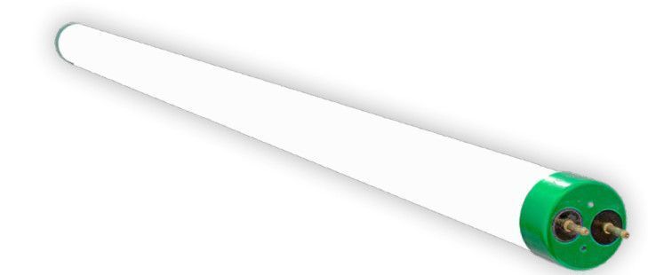 Westgate Mfg T8-EZ6, 10W, 3500K, 2 Ft., Frosted, T8-EZ6-GS-2FT-10W-35K-F