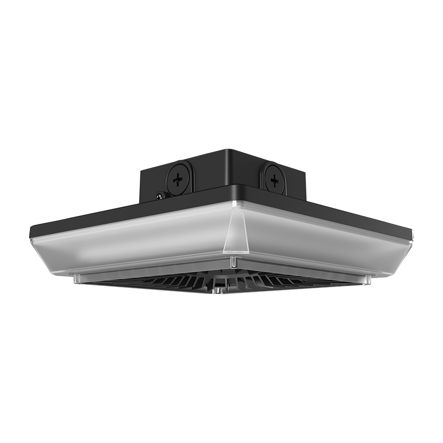 RAB Lighting PORTO, 55/42/30W, CCT Selectable, 480V, Photocell, Square, Bronze, PRT55S/480