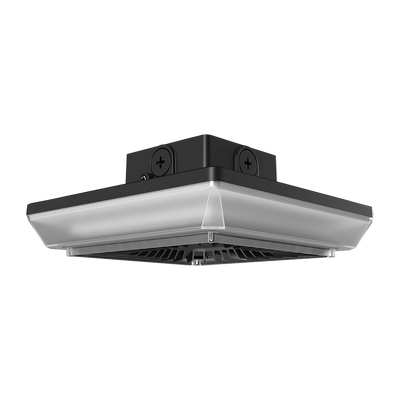 RAB Lighting PORTO, 55/42/30W, CCT Selectable, Photocell, Square, Bronze, PRT55S