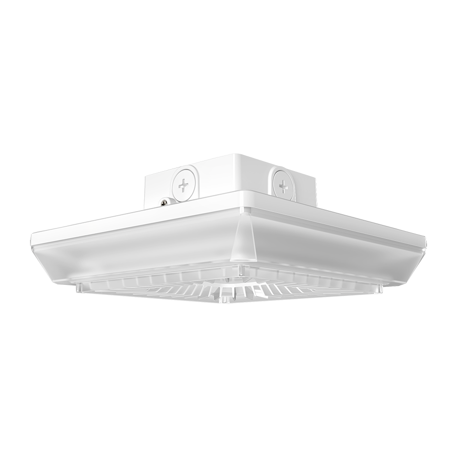 RAB Lighting PORTO, 55/42/30W, CCT Selectable, 480V, Photocell, White, PRT55SW/480
