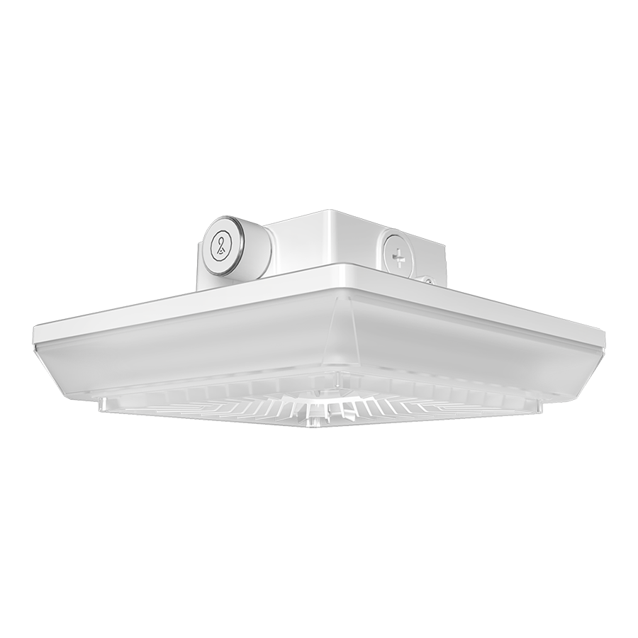 RAB Lighting PORTO, 55/42/30W, CCT Selectable, 480V, Photocell, LightCloud Control, Square, White, PRT55SW/480/LC