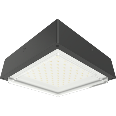RAB Lighting VAN34 Canopy Light, 30/20/10W, CCT Selectable, Battery Backup, Bronze, VAN34-30/E