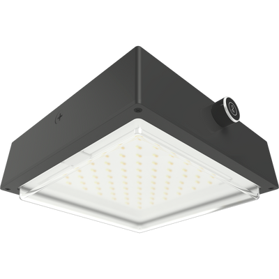 RAB Lighting VAN34 Canopy Light, 90/80/70W, CCT Selectable, LightCloud Blue, Microwave Sensor, Battery Backup, Clear Lens, Bronze, VAN34-90/LCBS/MVS/E