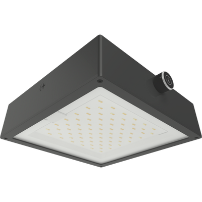 RAB Lighting VAN34 Canopy Light, 90/80/70W, CCT Selectable, Microwave Sensor, LightCloud Blue, Bronze, VAN34-90F/LCBS/MVS
