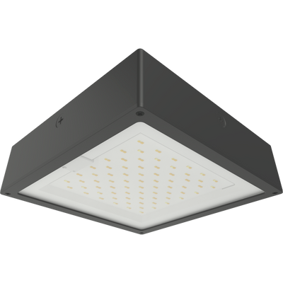 RAB Lighting VAN34 Canopy Light, 30/20/10W, CCT Selectable, Microwave Sensor, Battery Backup, Bronze, VAN34-30F/MVS/E