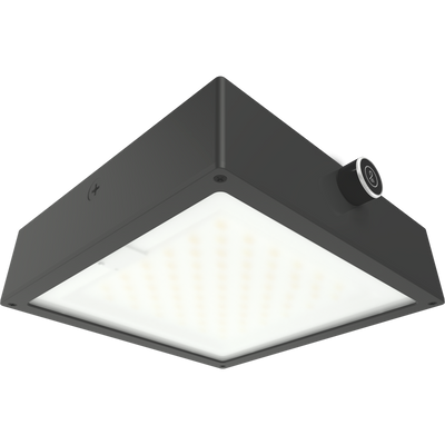 RAB Lighting VAN34 Canopy Light, 30/20/10W, CCT Selectable, 480V, Microwave Sensor, Flat Frosted Lens, LightCloud Blue, Bronze, VAN34-30FFR/480/LCBS/MVS