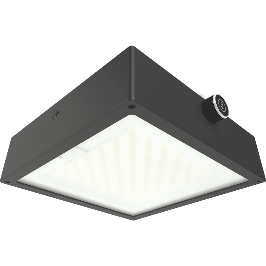 RAB Lighting VAN34 Canopy Light, 30/20/10W, CCT Selectable, Microwave Sensor, LightCloud Blue, Bronze, VAN34-30FFR/LCBS/MVS