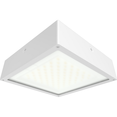 RAB Lighting VAN34 Vandalproof Canopy Light, 30/20/10W, CCT Selectable, Flat Frosted Lens, White, VAN34-30FFRW