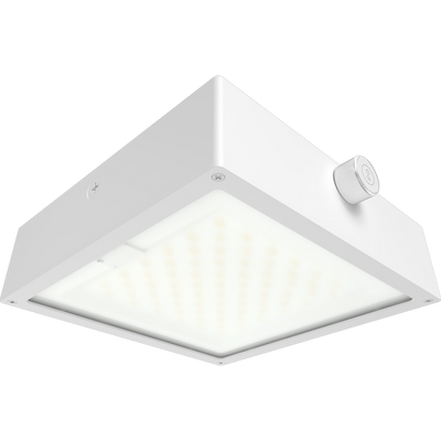 RAB Lighting VAN34 Canopy Light, 30/20/10W, CCT Selectable, 480V, Microwave Sensor, LightCloud Blue, White, VAN34-30FFRW/480/LCBS/MVS