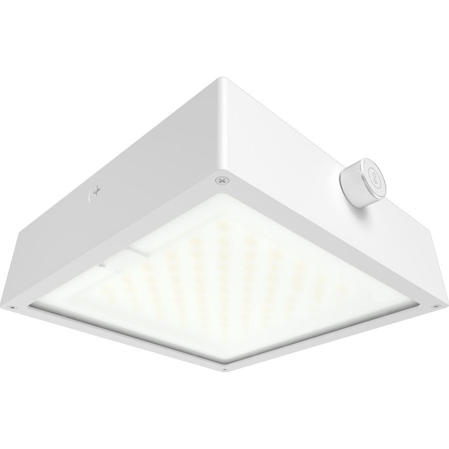 RAB Lighting VAN34 Vandalproof Canopy Light, 30/20/10W, CCT Selectable, Microwave Sensor, Flat Frosted Lens, White, VAN34-30FFRW/LCBS/MVS