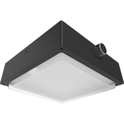 RAB Lighting VAN34 Vandalproof Canopy Light, 30/20/10W, CCT Selectable, 480V, Microwave Sensor, Drop Frosted Lens, Bronze, VAN34-30FR/480/LCBS/MVS