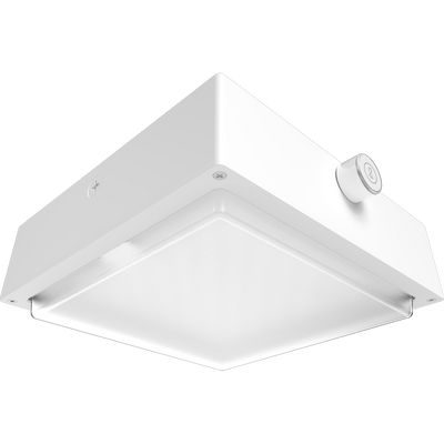 RAB Lighting VAN34 Canopy Light, 30/20/10W, CCT Selectable, LightCloud Blue, Microwave Sensor, Battery Backup, Frosted, White, VAN34-30FRW/LCBS/MVS/E