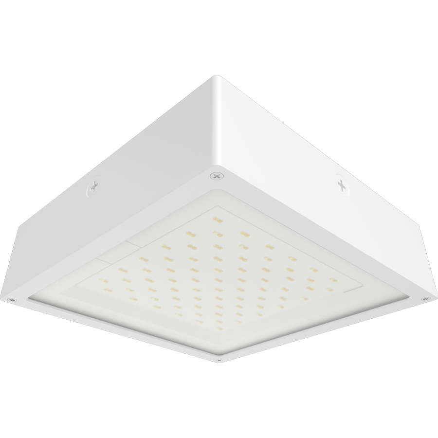 RAB Lighting VAN34 Canopy Light, 30/20/10W, CCT Selectable, 480V, White, VAN34-30FW/480