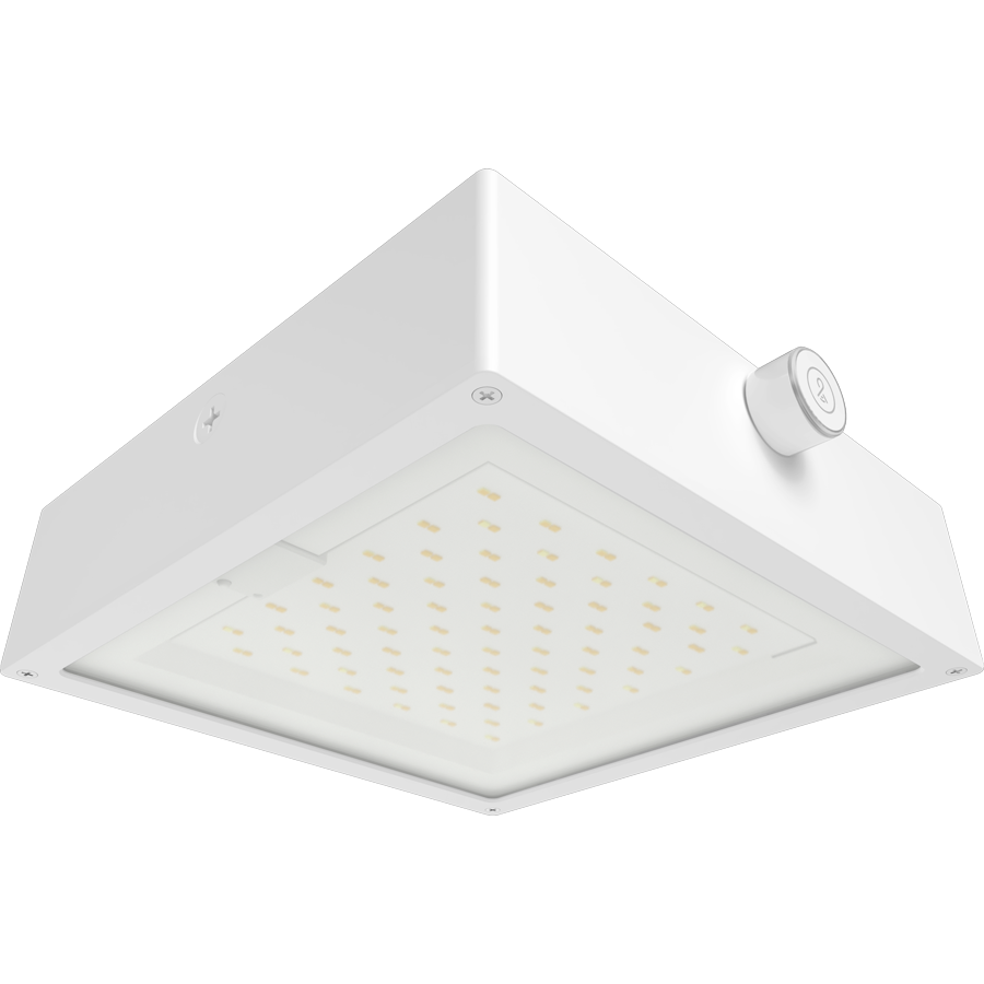RAB Lighting VAN34 Canopy Light, 30/20/10W, CCT Selectable, LightCloud Blue, Microwave Sensor, White, VAN34-30FW/LCBS/MVS