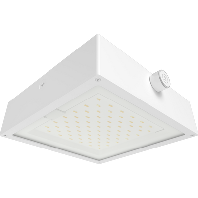 RAB Lighting VAN34 Canopy Light, 90/80/70W, CCT Selectable, Microwave Sensor, LightCloud Blue, White, VAN34-90FW/LCBS/MVS