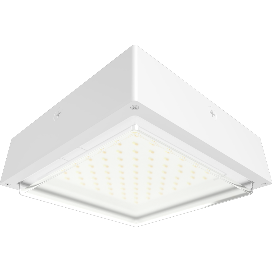 RAB Lighting VAN34 Canopy Light, 30/20/10W, CCT Selectable, Battery Backup, 120-277V, White, VAN34-30W/E