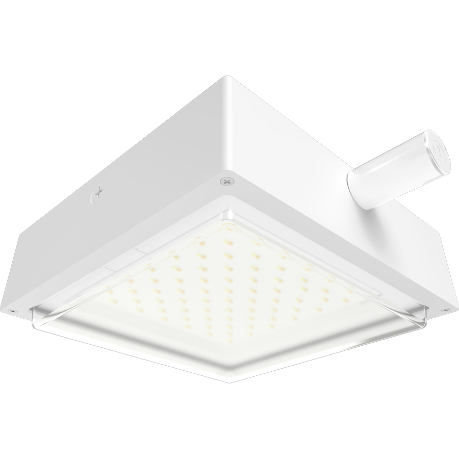 RAB Lighting VAN34 Canopy Light, 30/20/10W, CCT Selectable, 480V, LightCloud, White, VAN34-30W/480/LC