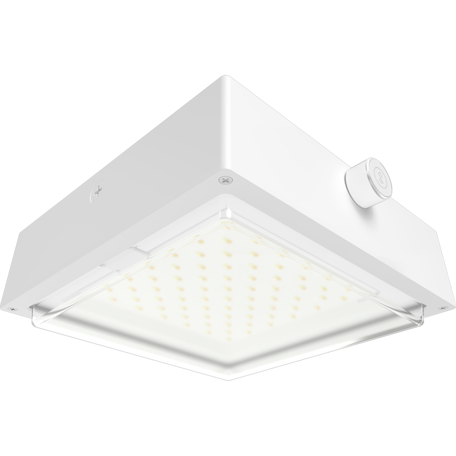 RAB Lighting VAN34 Canopy Light, 30/20/10W, CCT Selectable, Microwave Sensor, LightCloud Blue, White, VAN34-30W/LCBS/MVS