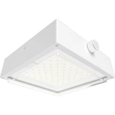 RAB Lighting VAN34 Canopy Light, 30/20/10W, CCT Selectable, LightCloud, Microwave Sensor, Battery Backup, 120-277V, White, VAN34-30W/LCBS/MVS/E