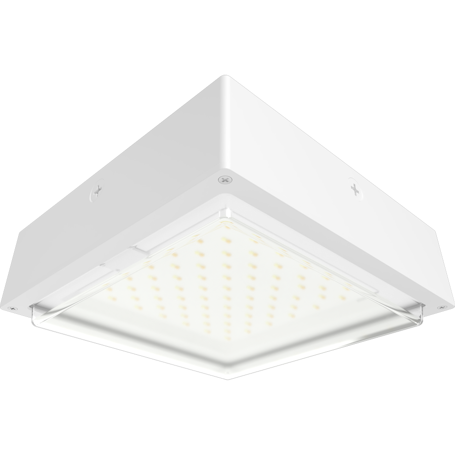 RAB Lighting VAN34 Canopy Light, 30/20/10W, CCT Selectable, Microwave Sensor, White, VAN34-30W/MVS