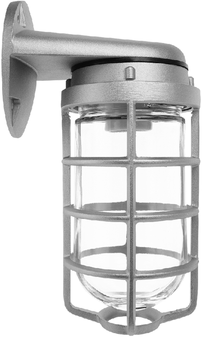 RAB Lighting 150 Watt Max Wall Mount Vaporproof Light, Natural, 120V, VBR100DG