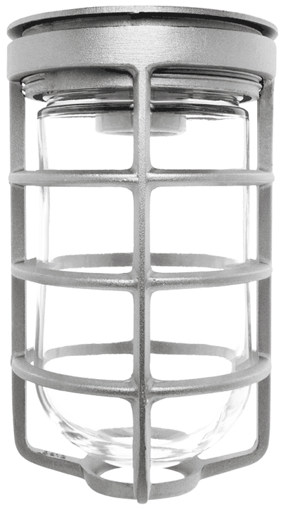 RAB Lighting VC100 Vaporproof Ceiling Fixture, 100W, A19, Cast Guard, Silver, VC100DGS