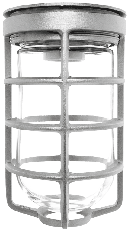 RAB Lighting VC100 Vaporproof Ceiling Fixture, 100W, A19, Cast Guard, Silver, VC100DGS