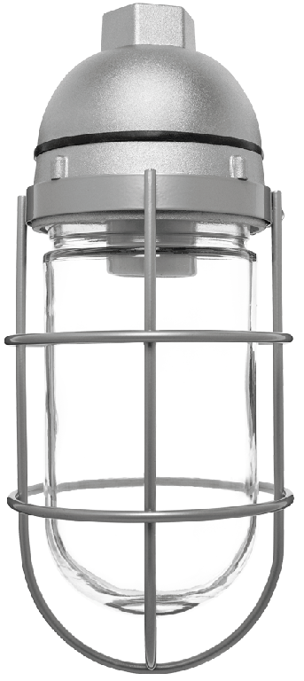 RAB Lighting VP100 Vaporproof Pendant, 150W, 1/2 In., Glass Globe, Wire Guard, VP100G