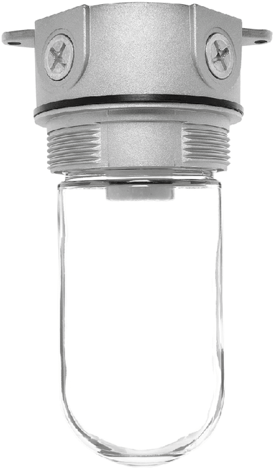 RAB Lighting Vaporproof 100 Ceiling Fixture, A21 Lamp, 4 In., 1/2 In., Glass Globe, Natural, VX100