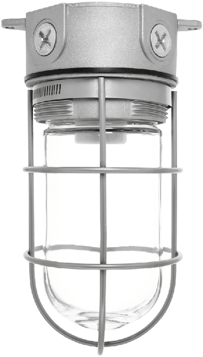 RAB Lighting 150 Watt Ceiling Mount Vaporproof Light Natural 120V, VX100G