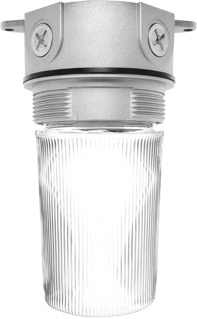 RAB Lighting VX100 Vaporproof Ceiling Fixture, 75W, A21, 3/4 In. Box, Perma Globe, VX100P-3/4
