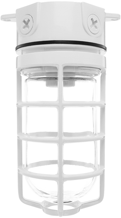 RAB Lighting VX100 Vaporproof Ceiling Fixture, 150W, A21, 3/4 In. Box, Cast Guard, White, VX100DGW-3/4