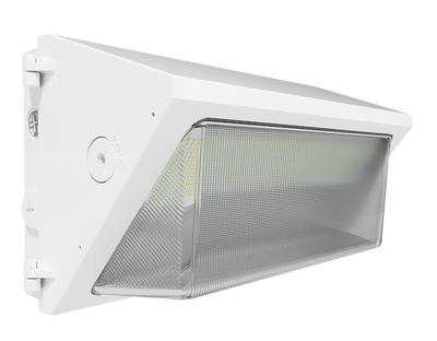 RAB Lighting W22 LED Wall Pack, 150/125/100/75W, CCT Selectable, 120-277V, Battery Backup, Bronze, W22-L-150W/E