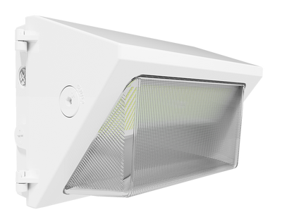 RAB Lighting W22 Medium Wall Pack, 60/50/40/30W, CCT Selectable, Battery Backup, Adjustable Throw, White, W22-M-60W/E