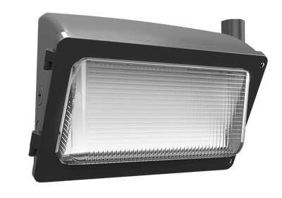 RAB Lighting WPX2 Wall Pack, 80/60/40W, CCT Selectable, Battery Backup, LightCloud Control, Bronze, WPX2/LC/E