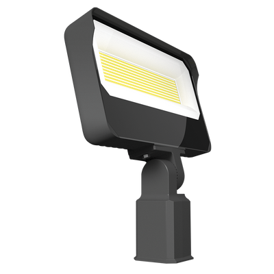 RAB Lighting X34 Slipfitter Flood Light, 160W, RGB + Tunable White, 120-277V, Bronze, X34XXL/RGB